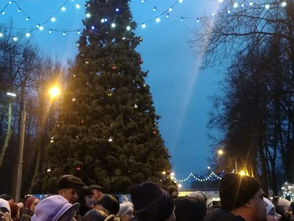 Christmas tree 2020, Ryazan, Forest Park